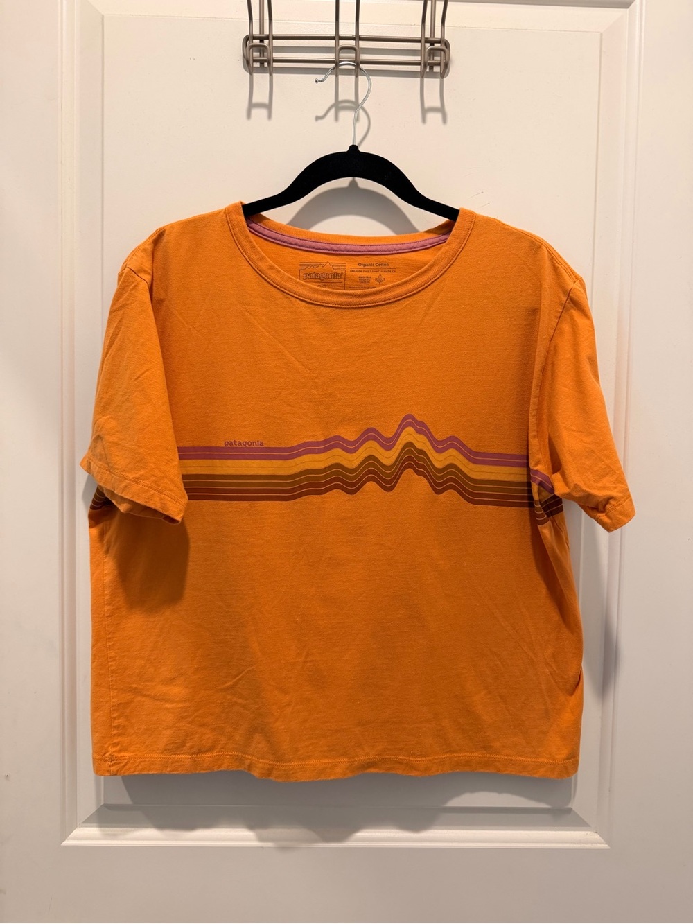 Patagonia Graphic T-Shirt Size M Orange Retro Stripe